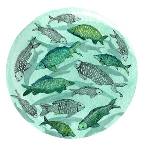 Small Fish Big Pond, 2018 (kynä ja muste, akvarelli ja digitaalinen)