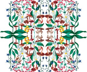 Wild Plants, 2015 akryyli tekijältä Charlotte Orr