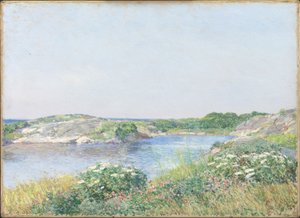 Pikku lampi, Appledore