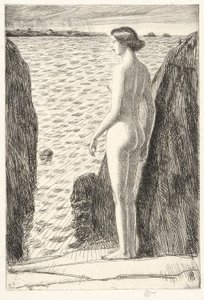 Appledore tekijältä Childe Hassam