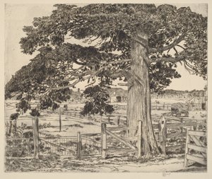  tekijältä Childe Hassam