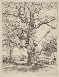  tekijältä Childe Hassam
