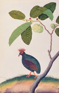 Huonekalut ja erilaiset esineet 1100- ja 1300-luvuilta tekijältä Chinese School
