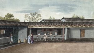 Teelehtien kuivaus (wc paperilla) tekijältä Chinese School