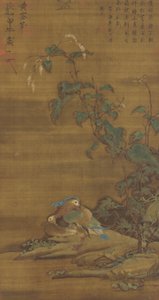 Mandariiniankat smartweedin alla, Ming- tai Qing-dynastia, 1400-1700-luku