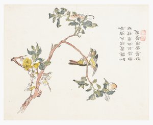 Sinapinsiemenpuutarha tekijältä Chinese School