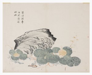 Sinapinsiemenpuutarha tekijältä Chinese School