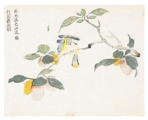 Sinapinsiemenpuutarha tekijältä Chinese School