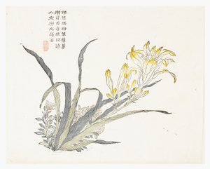 Sinapinsiemenpuutarha tekijältä Chinese School