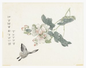 Sinapinsiemenpuutarha tekijältä Chinese School