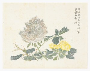 Sinapinsiemenpuutarha tekijältä Chinese School