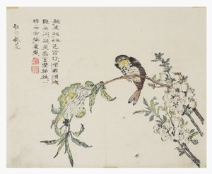 Sinapinsiemenpuutarha tekijältä Chinese School