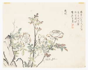 Sinapinsiemenpuutarha tekijältä Chinese School