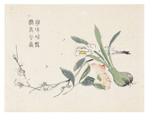 Sinapinsiemenpuutarha tekijältä Chinese School