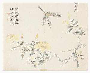 Sinapinsiemenpuutarha tekijältä Chinese School