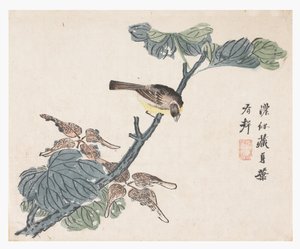 Sinapinsiemenpuutarha tekijältä Chinese School
