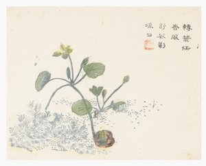 Sinapinsiemenpuutarha tekijältä Chinese School