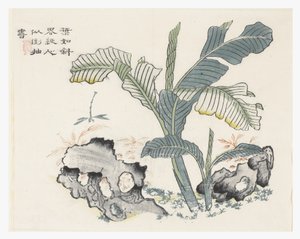 Sinapinsiemenpuutarha tekijältä Chinese School