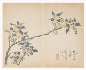 Sinapinsiemenpuutarha tekijältä Chinese School