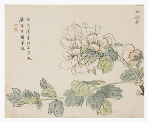 Sinapinsiemenpuutarha tekijältä Chinese School