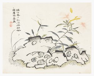 Sinapinsiemenpuutarha tekijältä Chinese School