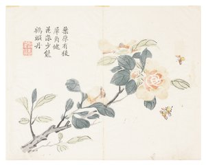 Sinapinsiemenpuutarha tekijältä Chinese School
