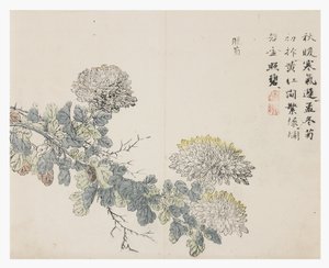 Sinapinsiemenpuutarha tekijältä Chinese School