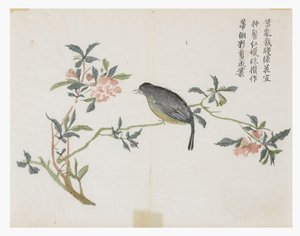 Sinapinsiemenpuutarha tekijältä Chinese School