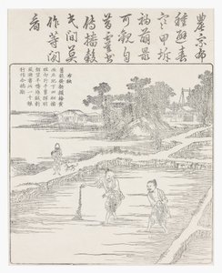Riisin kylvö siemenpetiin., 1700-luku tekijältä Chinese School