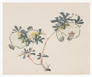 Ten Bamboo -sarja, 1700-luku tekijältä Chinese School