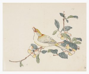 Ten Bamboo -sarja, 1700-luku tekijältä Chinese School