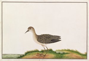 Huonekalut ja erilaiset esineet 1100- ja 1300-luvuilta