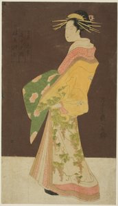 Sivusto kaupasta: Hanamurasaki of Tamaya -hahmo) tekijältä Chobunsai Eishi