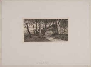 Maribosta tekijältä Chr. Benzon