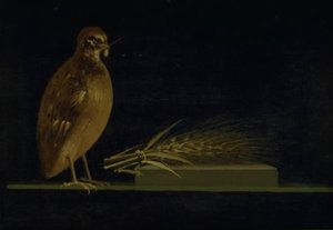 Viiriäinen syömässä maissin tähkä tekijältä Christen Købke
