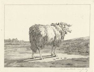 Lampaat maisemassa tekijältä Christiaan Godfried Schutze van Houten