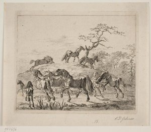 Hevonen