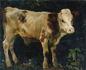 Härkävasikka, 1876