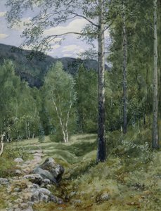 Kevät metsässä (akvarelli paperille)