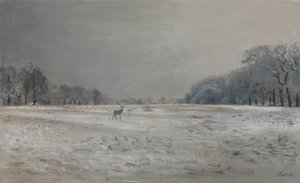 Peura lumessa - Richmond Park, 2015 (öljy kankaalle) tekijältä Christian Furr