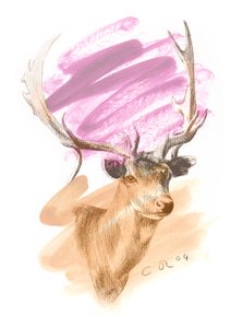 Hirvenpää - Cerise Sienna, 2004 (öljy ja conte paperille) tekijältä Christian Furr