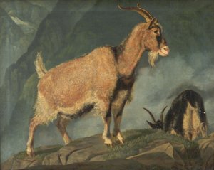 Vuohet Alpeilla tekijältä Christian Holm
