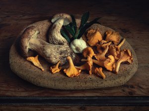 Maalaismaista sienisaalista