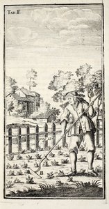 Puutarhuri Hoeing, pubi. Erfurt Thüringenissä, 1753-55 tekijältä Christian Reicharts