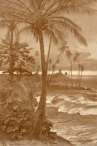 Ranta Waikikissa, Havaijilla, 1898.