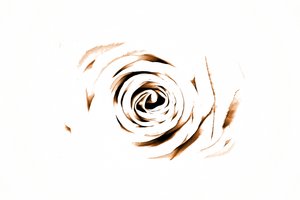 Elegantti Sepia Rose tekijältä Christina Sillen