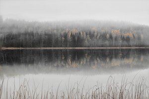 Sumuisen syksyn järvi tekijältä Christina Sillen