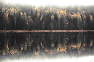 Sumuisen syksyn heijastus tekijältä Christina Sillen