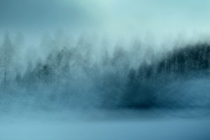 Sumuisen sininen metsä