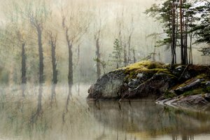 Sumuisen metsän järvi tekijältä Christina Sillen